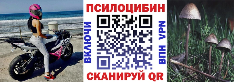 ОМГ ОМГ как войти  Печора  Галлюциногенные грибы ЛСД 